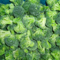 China IQF Frozen Broccoli Floret Vegetables